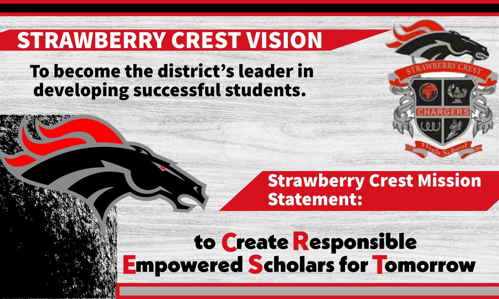 graphic with mission and vision