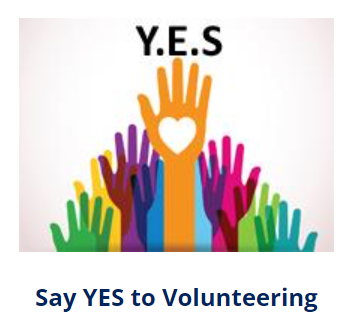  Volunteer to help at Mango!