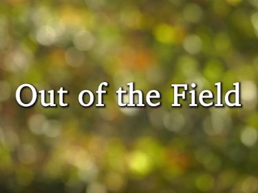  Out of Field