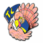  Turkey Creek Mascot the Gobbler