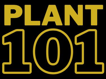  Plant 101 Brochure