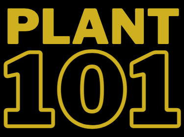  Plant101