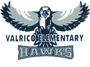  Valrico Elementary Hawk