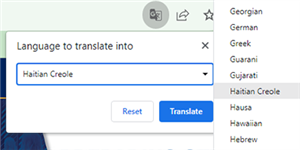 select the appropriate language from the chrome options menu