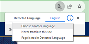 click translation icon in the chrome browser