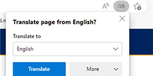 click translation icon in the edge browser