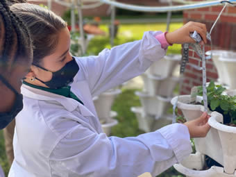 future in agriculture