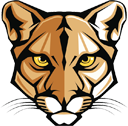 Cork Elementary School Logo