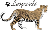 Lopez Exceptional Center Logo